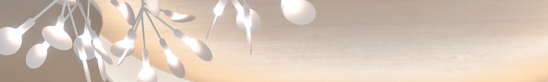 Guido Rohrer Banner