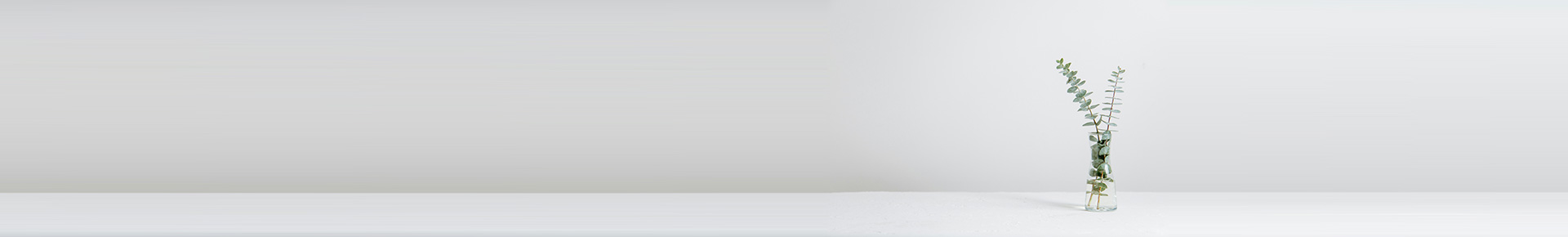 Guido Rohrer Banner